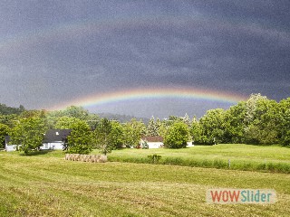 IMG_6871Rainbow good luck copy